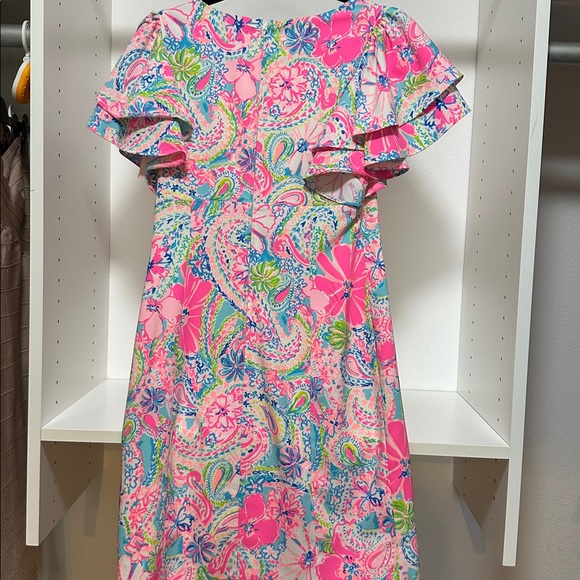 Lilly Pulitzer Silver and Pink Dress - Picture 4 of 5